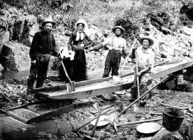 History California Gold Rush